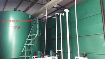 专业制造污水处理系统 气浮设备与污泥处理装备的核心解决方案